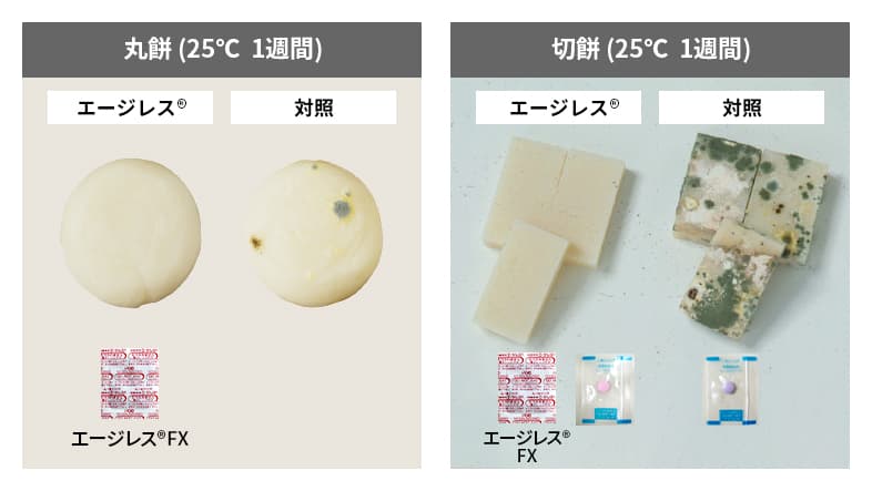 防カビ・好気性菌繁殖防止の効果検証結果